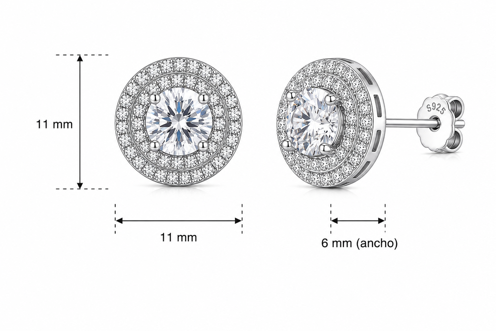 Aretes en Plata 925 Full Double Circle Silver - Moissanita.